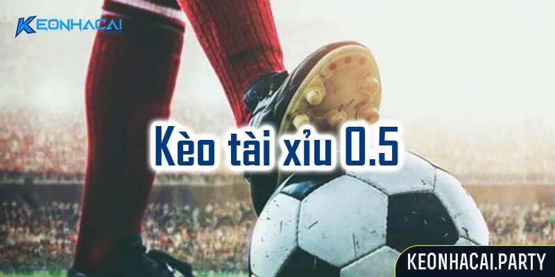 Giới thiệu về Kèo Tài xỉu 0.5