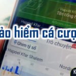 Giới thiệu về Bảo hiểm cá cược