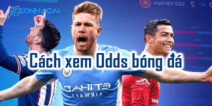 Hướng dẫn cách xem odds bóng đá