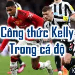 Công thức kelly trong cá độ