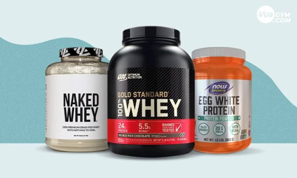 Các loại Whey Protein