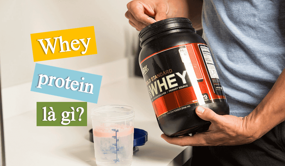 Whey Protein Là Gì